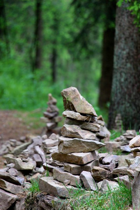 Featured Image